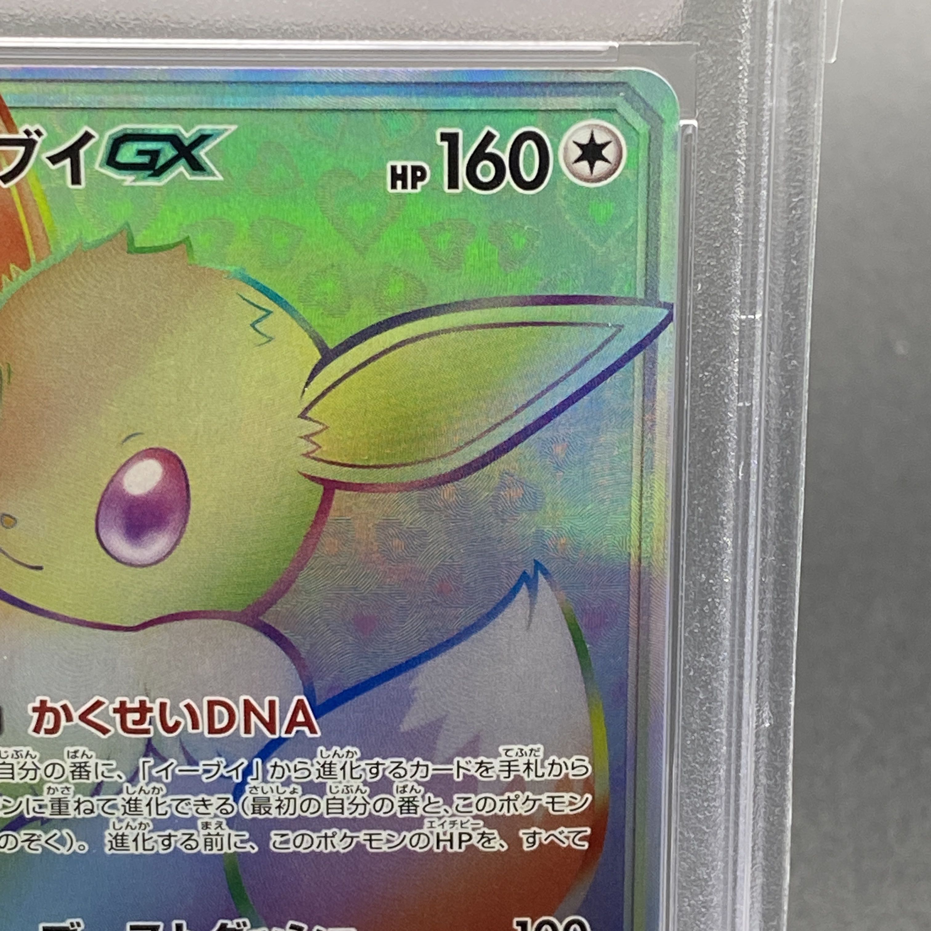 PSA10】イーブイGX HR 219/173 1枚の通販 土日祝休@magi公式