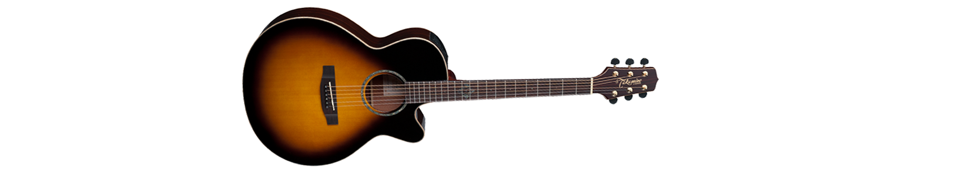 Takamine Guitars :: product-details