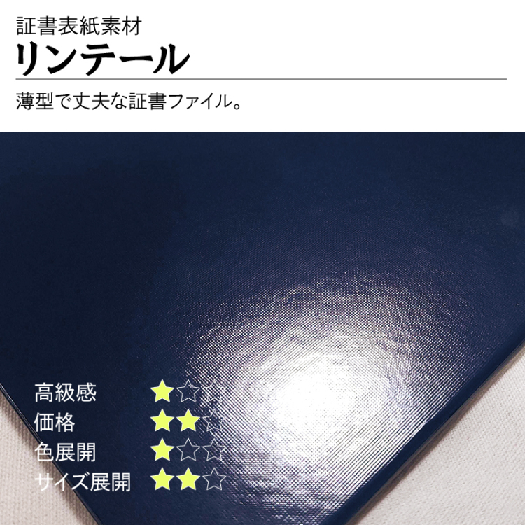 ナカバヤシ 証書ファイル リンテール 二つ折りタイプ 印刷クロスB4判