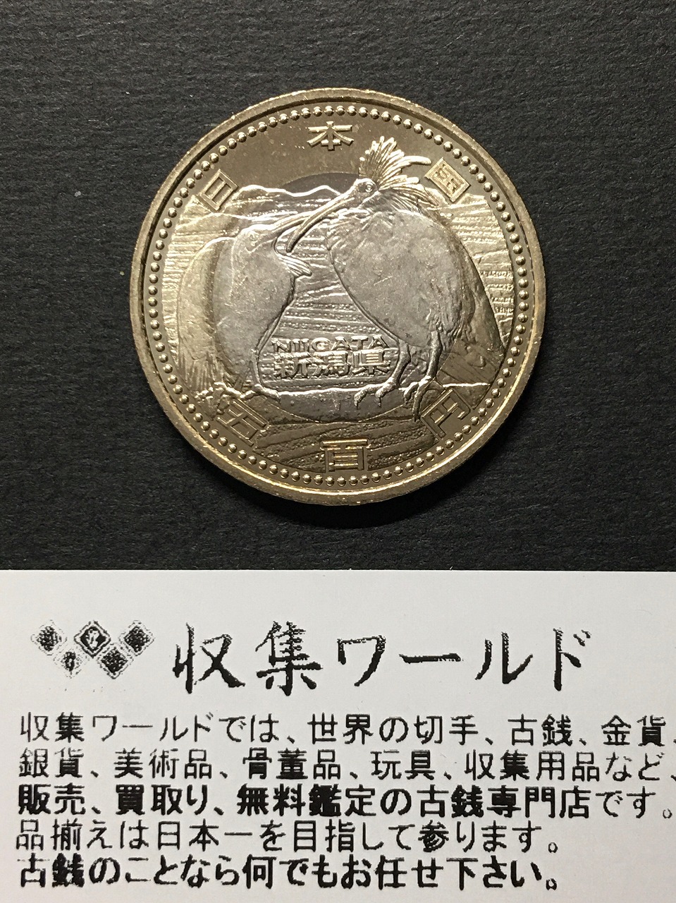 地方自治法施行60周年記念 500円プルーフ H24年 兵庫県 | 収集ワールド