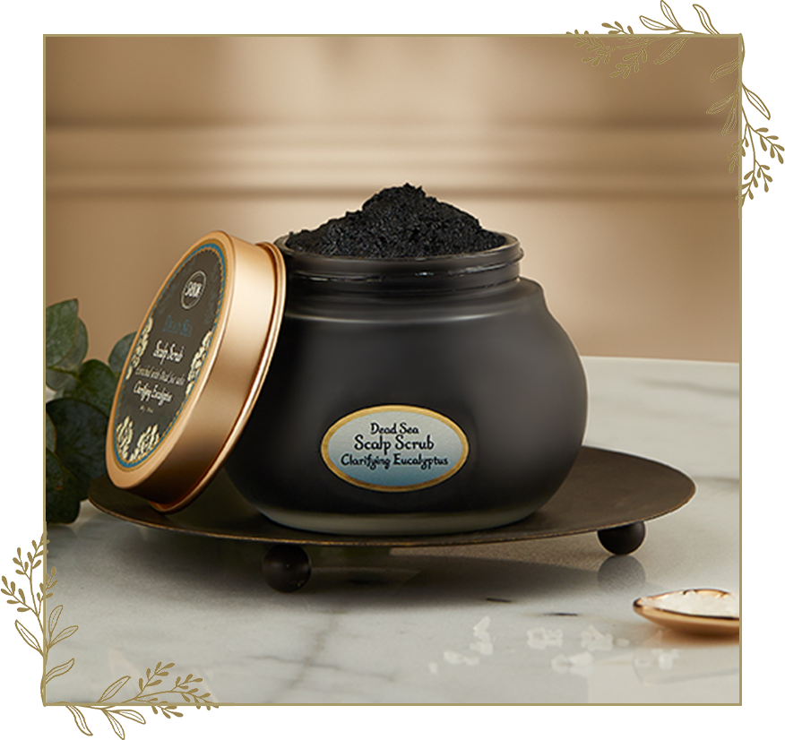 ヘッドスクラブ | SABON サボン