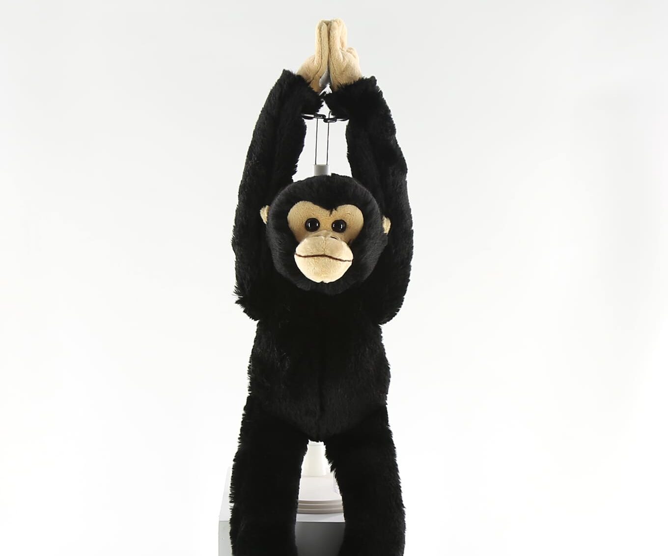 野生の動物シリーズ | 製品のご紹介 | SAENCO株式会社