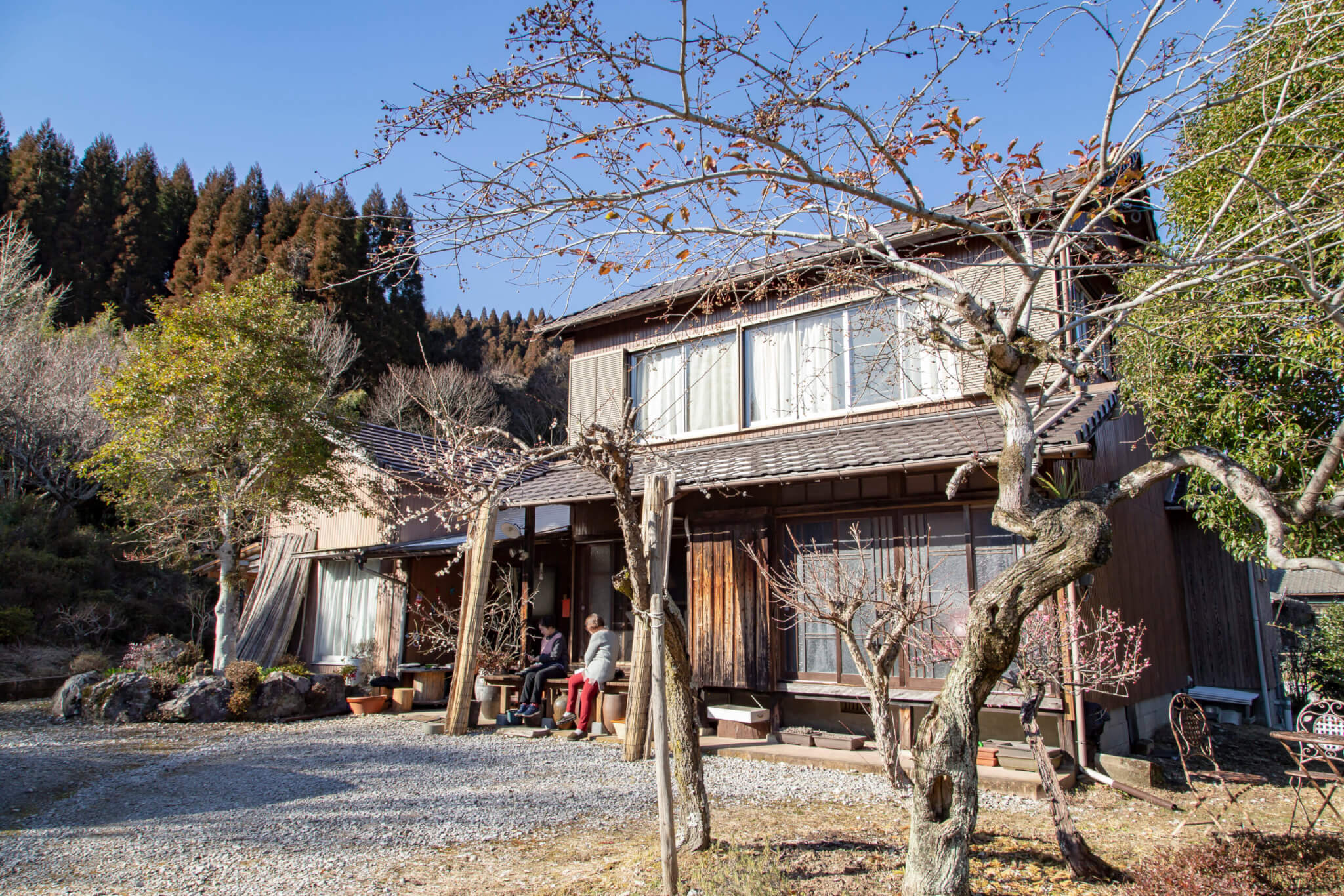 ほたる | さいきグリーンツーリズム研究会