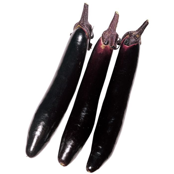 ナス 飛天長｜種（タネ）,球根,苗,資材,ガーデニンググッズの通販は