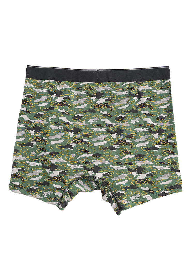 3873200619-65-3.jpg?type=img&