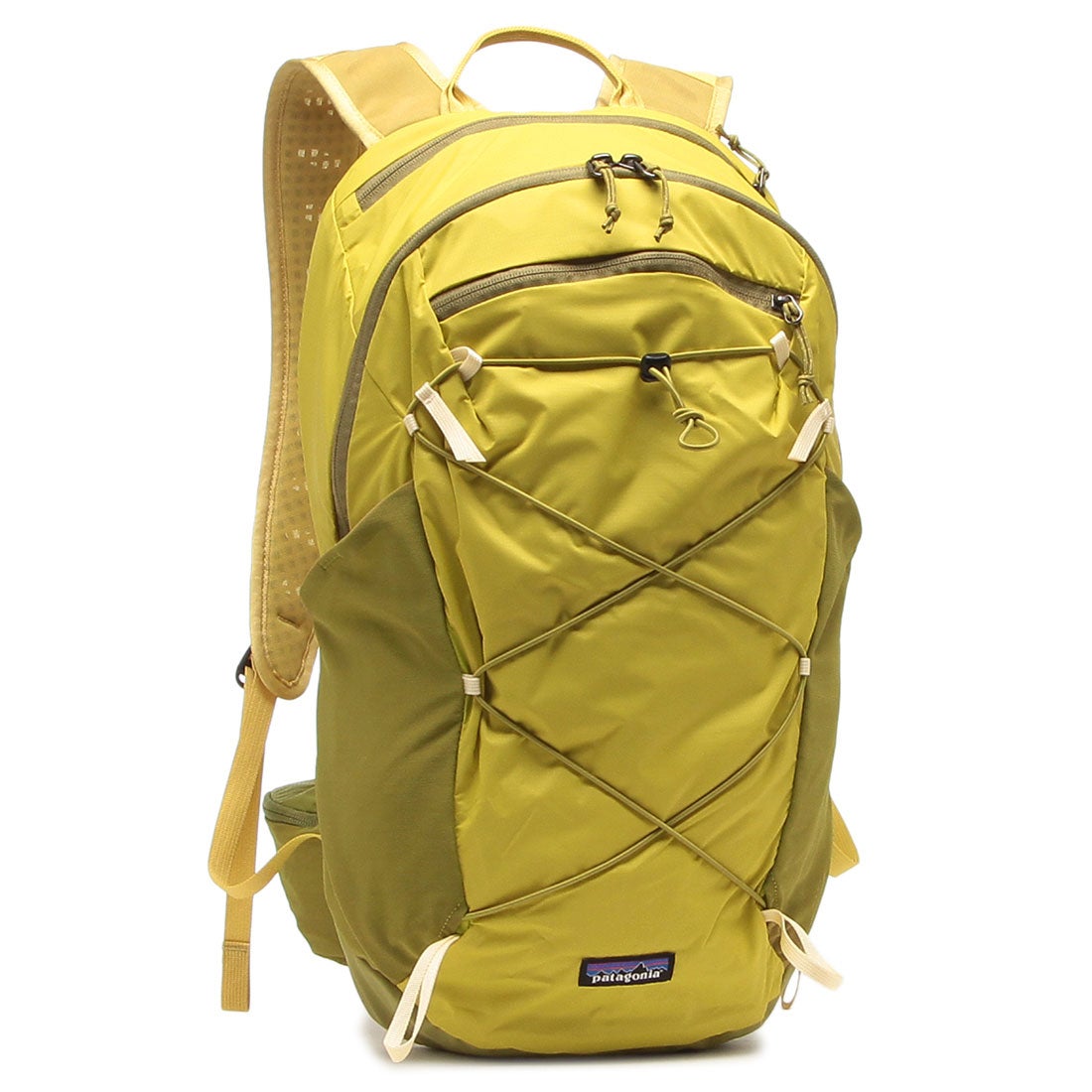 パタゴニア Patagonia リュック バックパック テラヴィア パック 22L