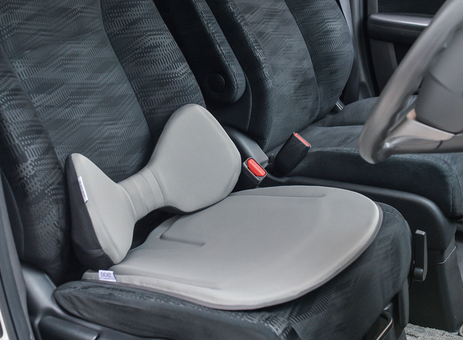 ハグドライブランバークッション