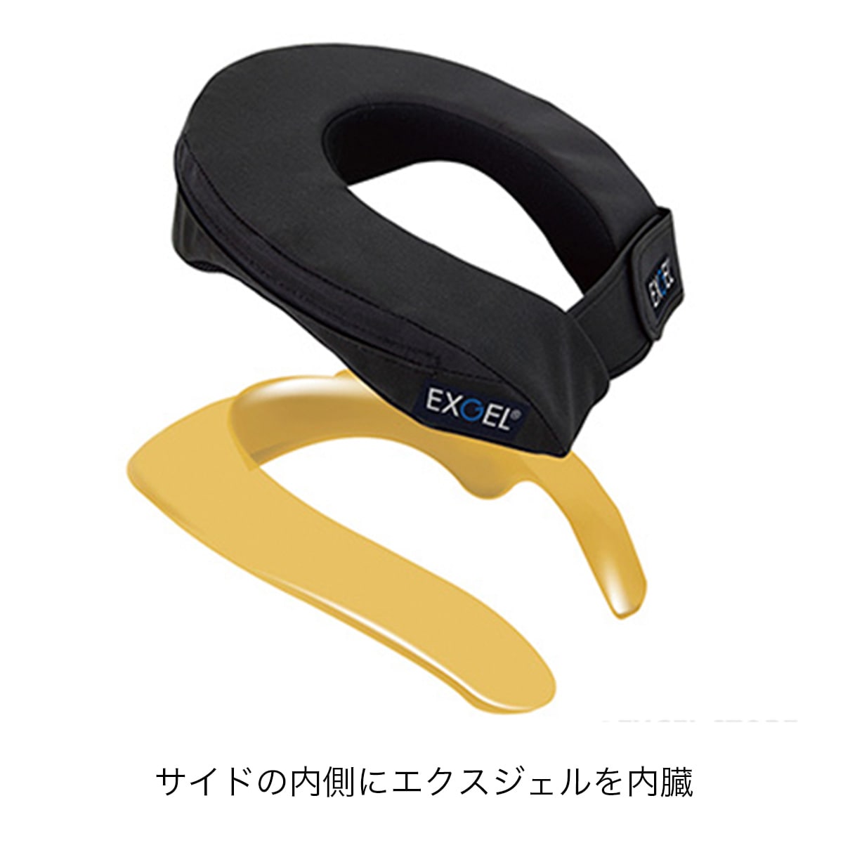 構造医学 座板 コクシックスブレスエアー 構造医学 座板 コクシックス