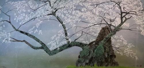 坪井の枝垂桜 | ｜正光画廊