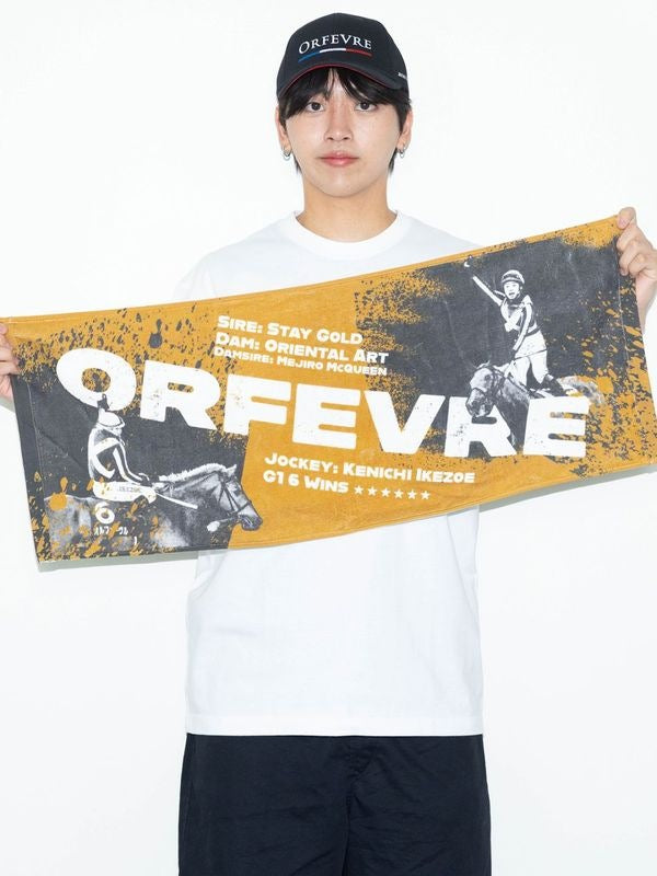 オルフェーヴル・タオル｜netkeiba