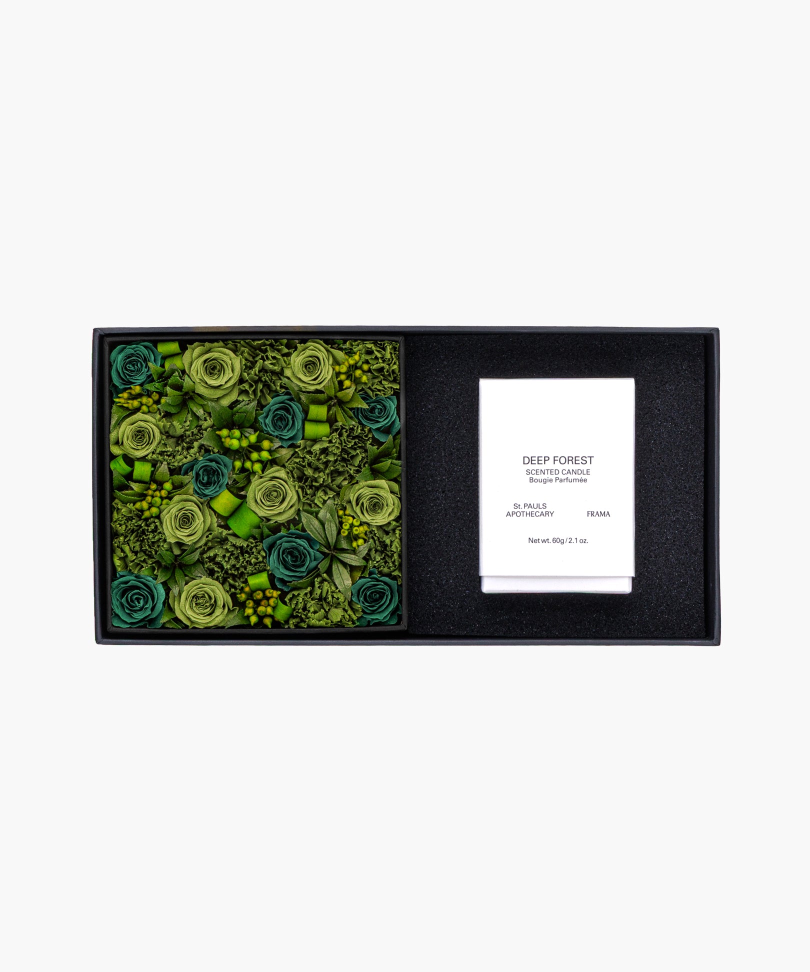 Nicolai Bergmann with FRAMA - Deep Forest Edition (ニコライ