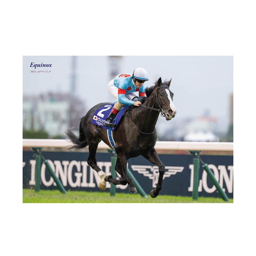 イクイノックス - 競馬グッズの通販サイト ノーザンホースパーク