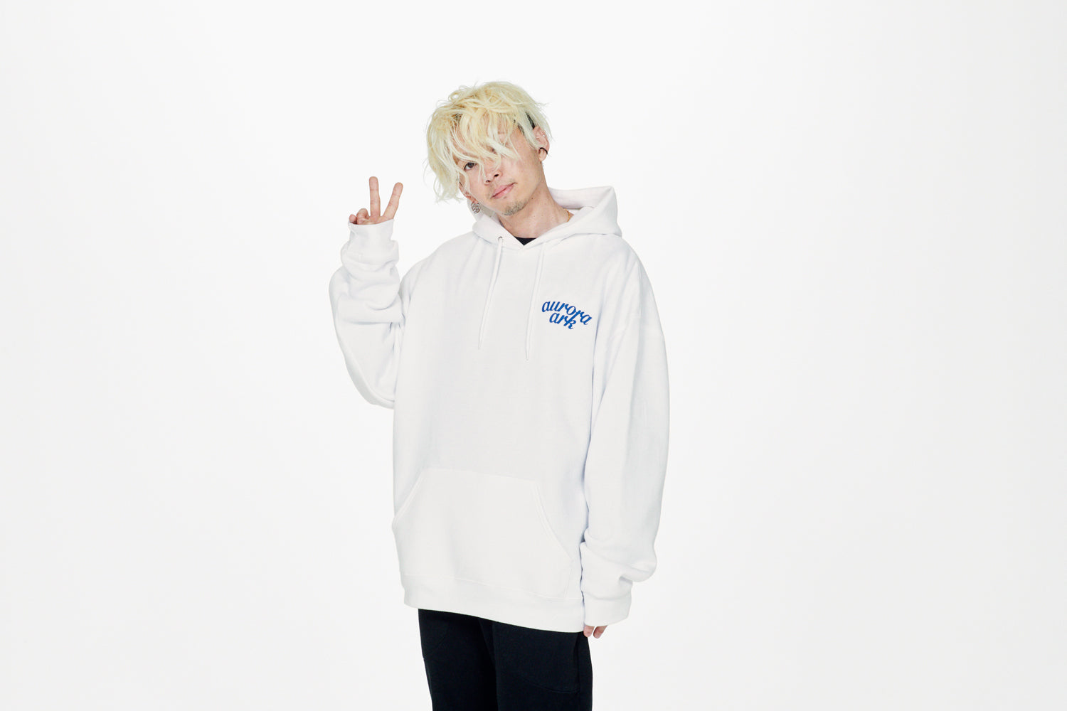 aurora ark Hoodie