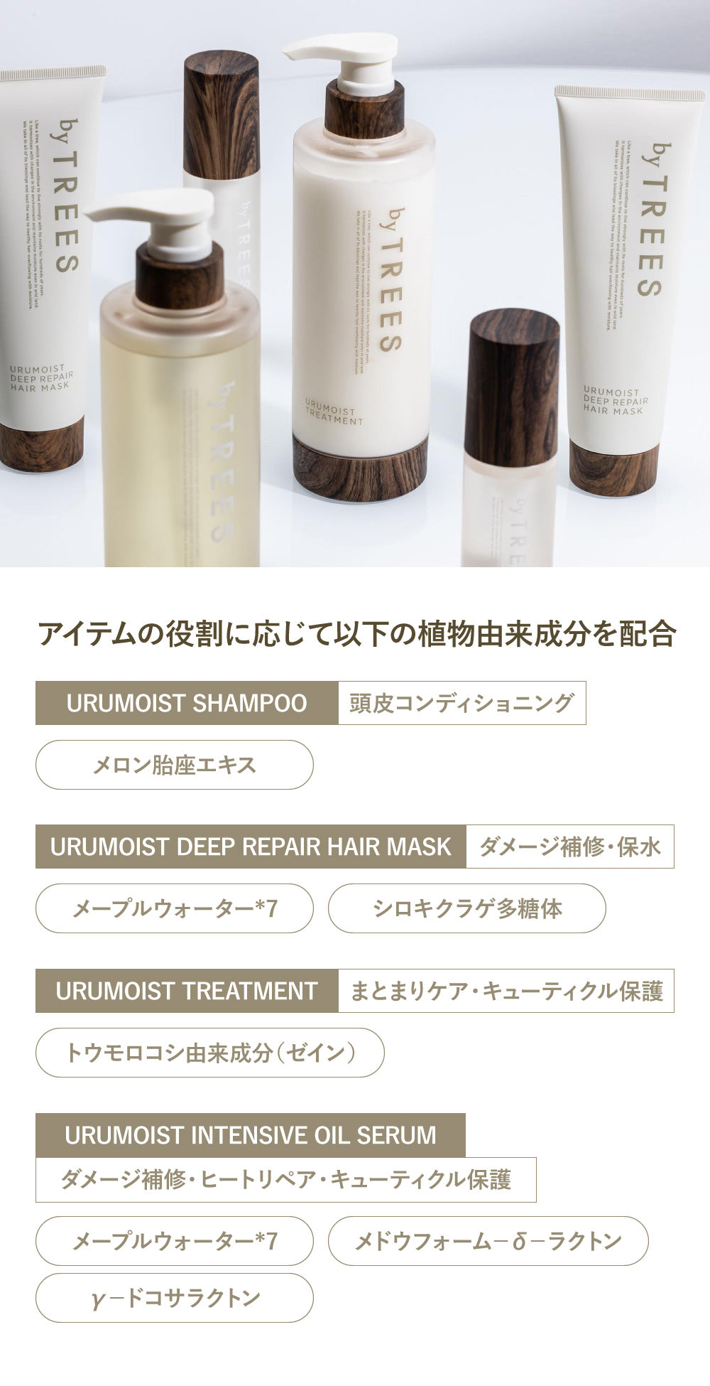 数量限定トライアル付】シャンプー トリートメント セット