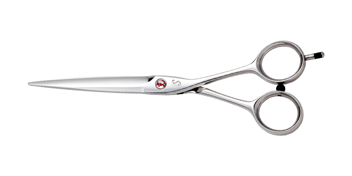 5S COSMOS – HIKARI Corporation