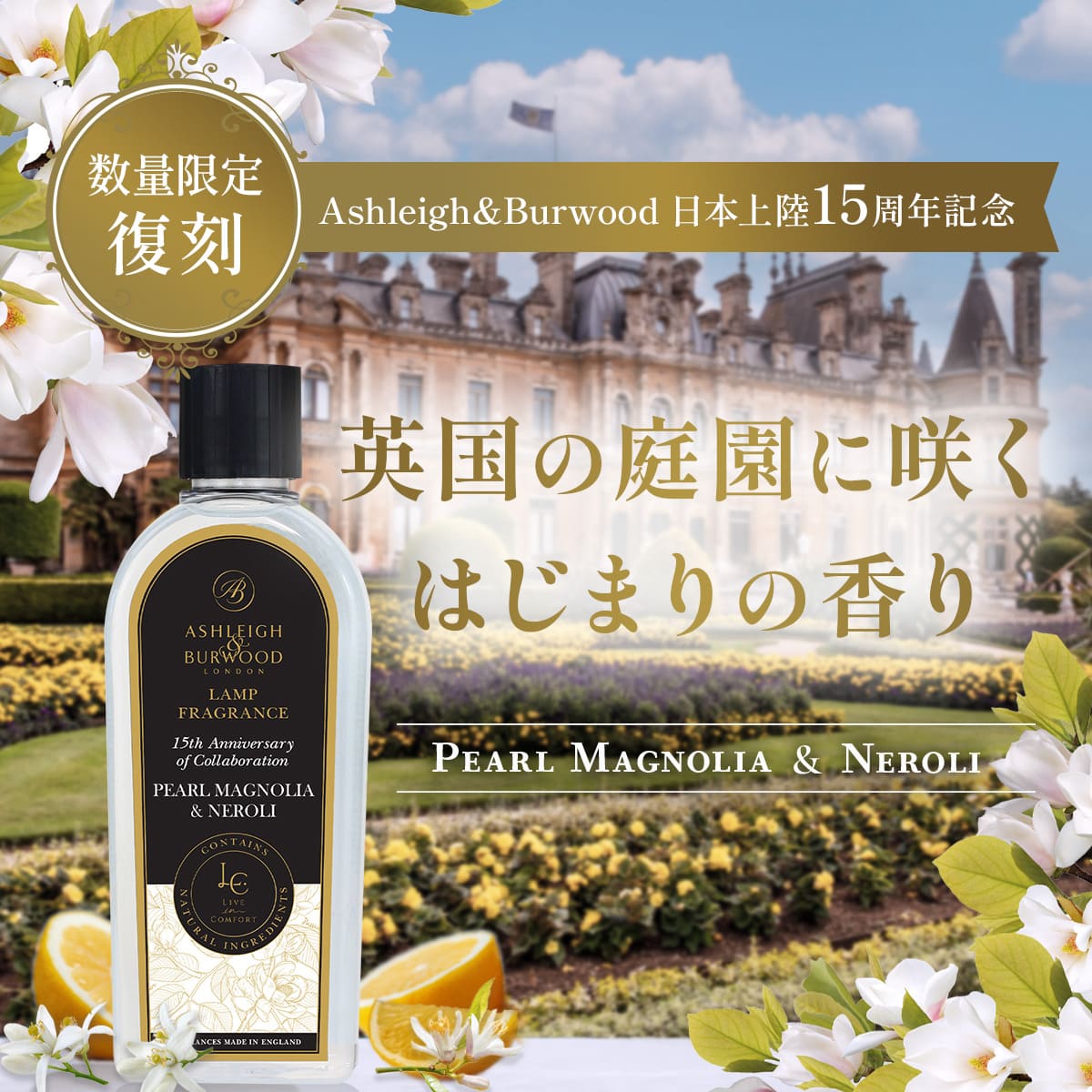 数量限定復刻！】Ashleigh&Burwood日本上陸15周年記念『限定