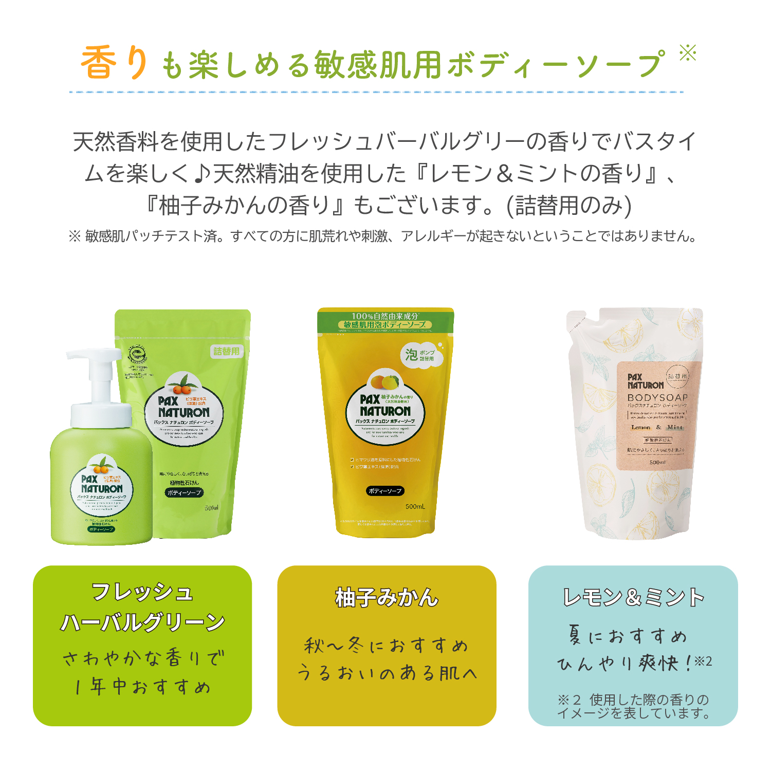 パックスナチュロン ボディーソープ 500ml×12 | PAX NATURON Online Shop