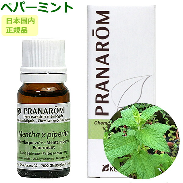 楽天市場】プラナロム フランキンセンス 10ml プラナロム アロマオイル