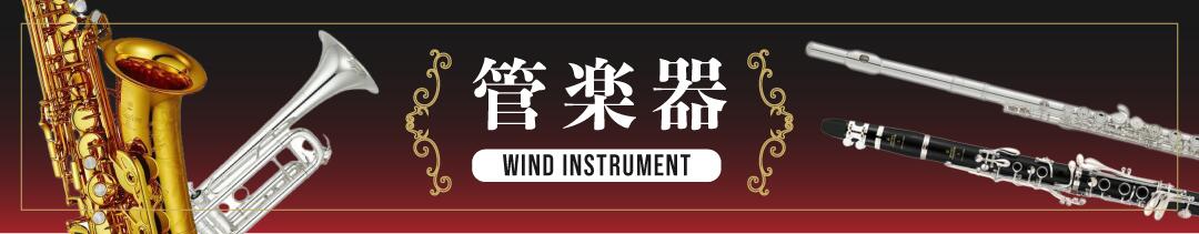楽天市場】CP CP656-AWB (Natural Gloss) 11” & 11 3/4” コンガ