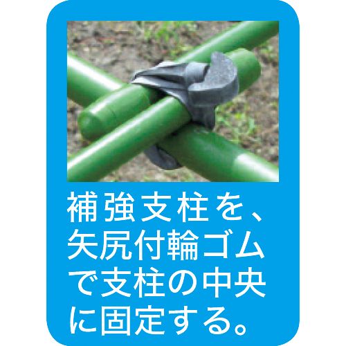 保温フィルム付き 角型トンネル支柱セット| 種・苗・ガーデニング用品