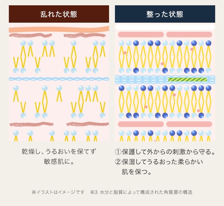 TBC FDトリートメント_4セット入: スペシャルケア｜TBCオンラインショップ