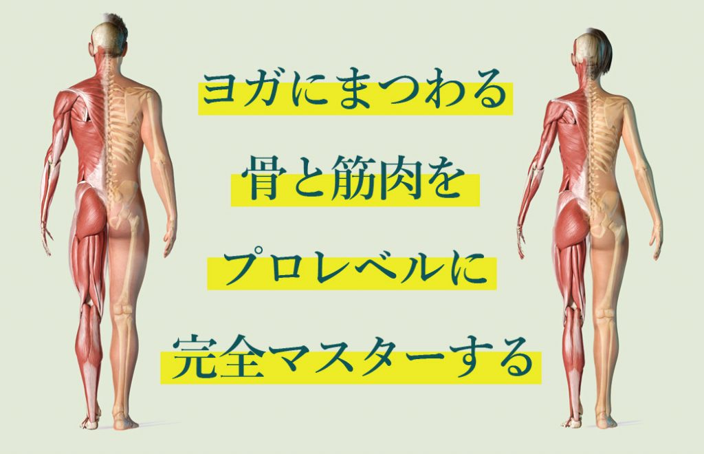 実践ヨガ解剖学講座 マスターコース＜全12回＞オンライン | 全国のヨガ