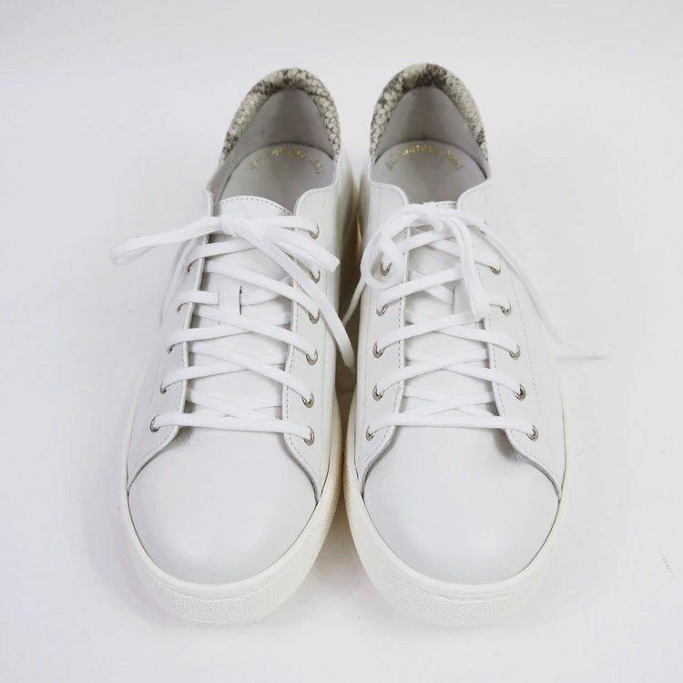 z-5505踵のパイソン柄がアクセント レースアップ白スニーカー – ZUCCOTTO