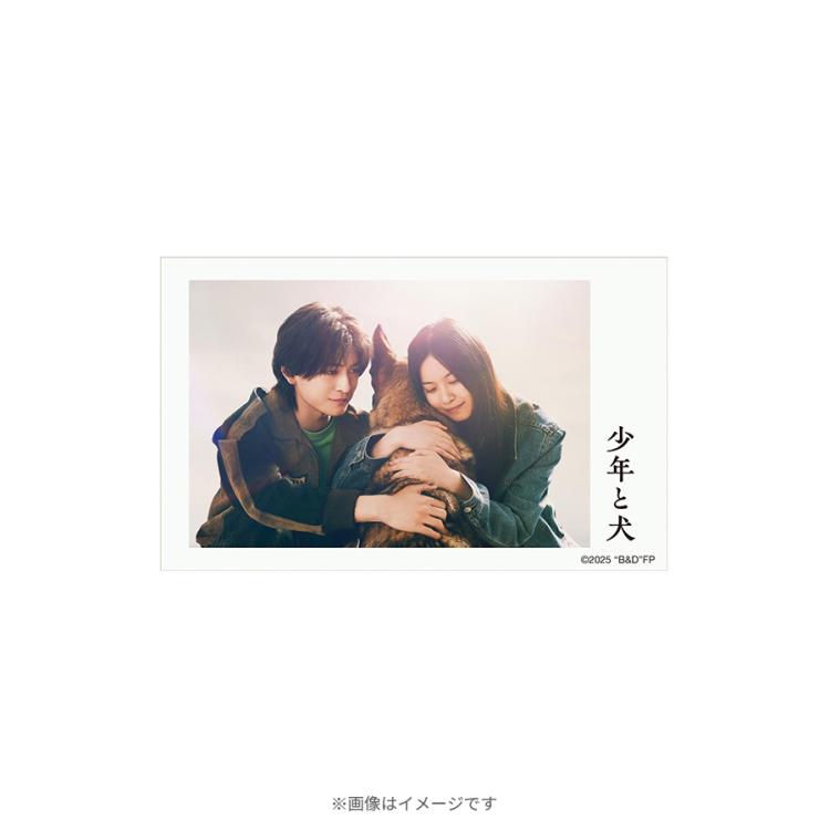映画『少年と犬』／トレーディング場面写真ミニブロマイドセット