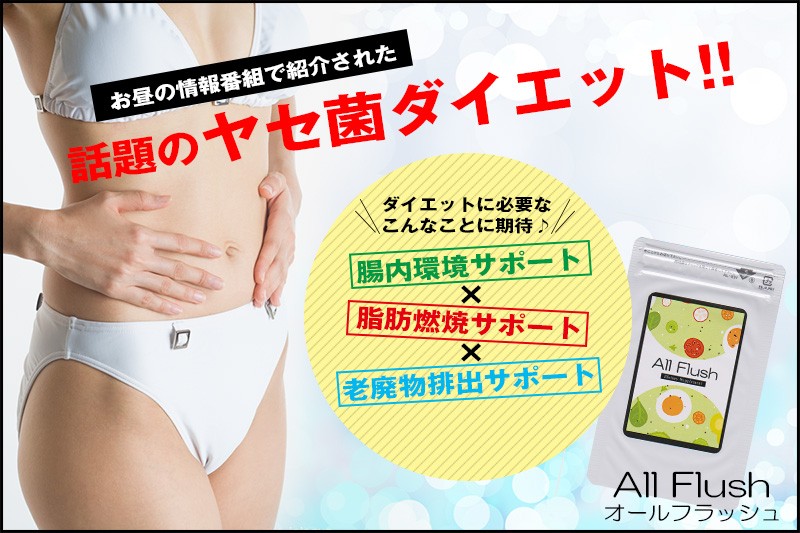 ダイエットサプリ オールフラッシュ 90粒 約1カ月分 ダイエット サプリ