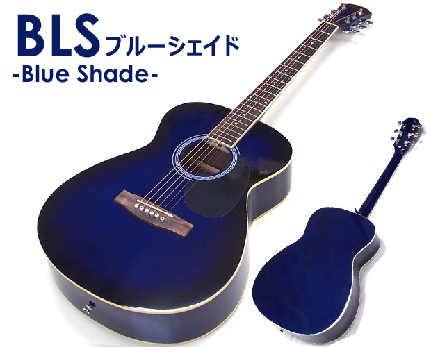 ARIA（アリア） アコースティックギター アコギ 初心者 超入門 9点