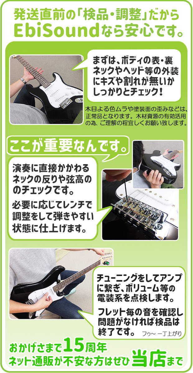 Aria Proll エレキギター 初心者セット Legend LST-Z 9点 NEW