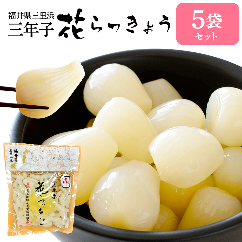 らっきょう 福井県三里浜「三年子花らっきょう」70g×5袋セット ご自宅