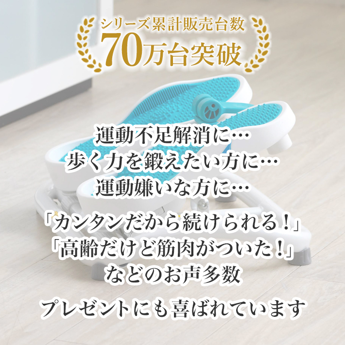 AEROLIFE（エアロライフ） ステッパー モーションナビ 足踏み 健康器具