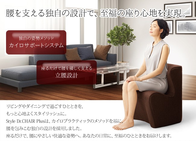 Style（スタイル） ドクターチェアプラス BS-DP2244F 姿勢サポート