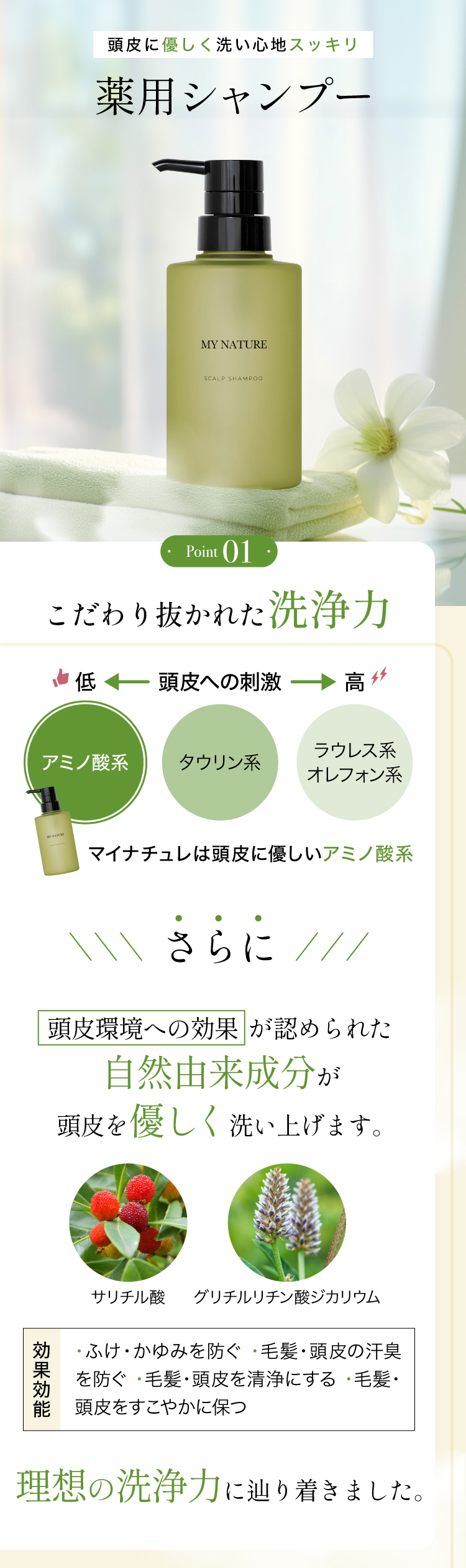 マイナチュレ 薬用スカルプシャンプー 3本セット アミノ酸 ノン