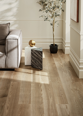 Polaris Plus VE433 05220 | Shaw Builder Flooring