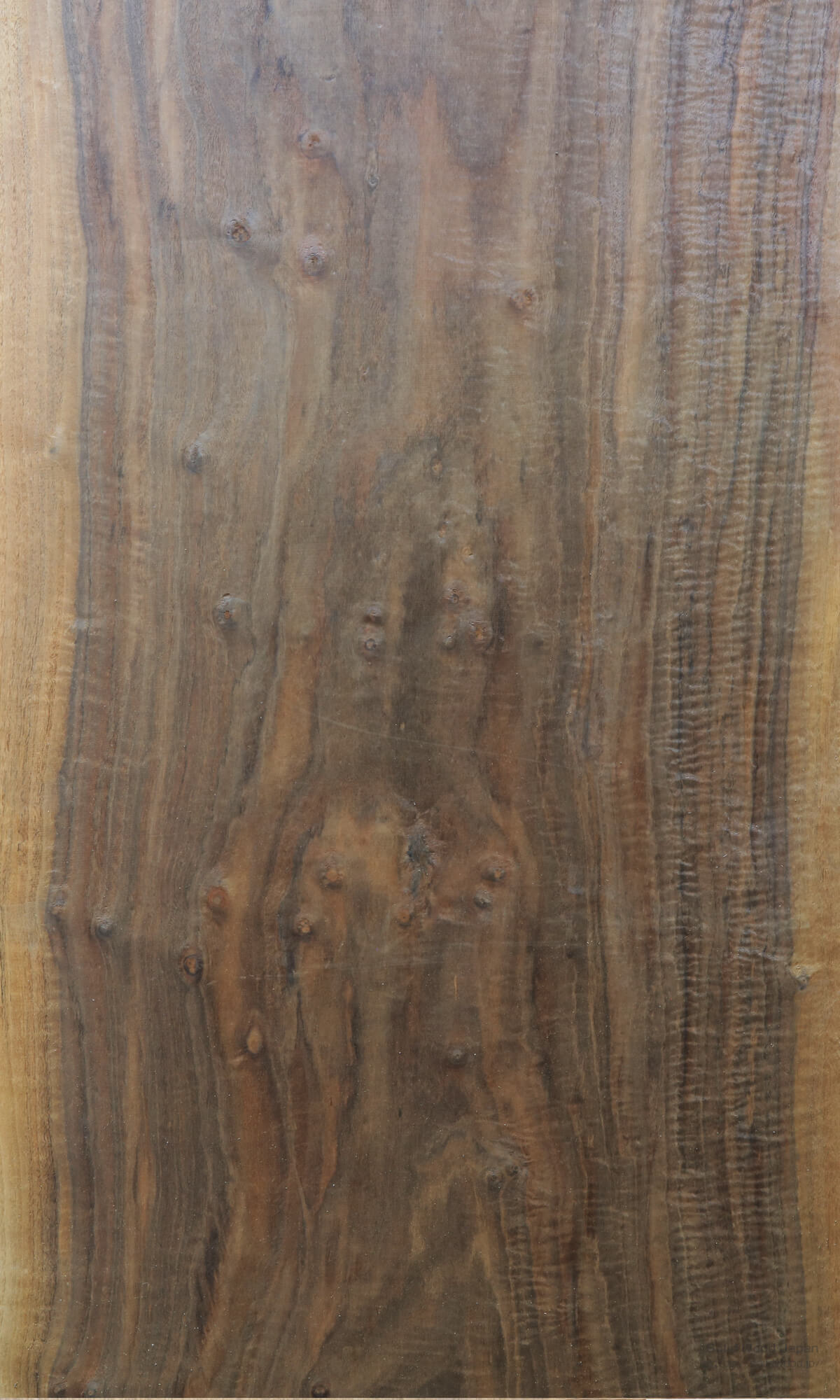 ウォールナット（クルミ）について | 世界の木 | 一枚板比較