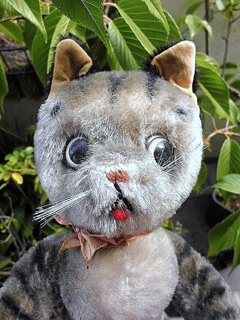 ググリーアイのねこさん ビゴベロ 50年代 ドイツ シュコ 30cm - SNAP