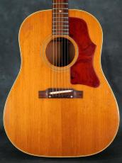 Gibson J-50の検索結果1～100件【楽器検索｜Jギター】