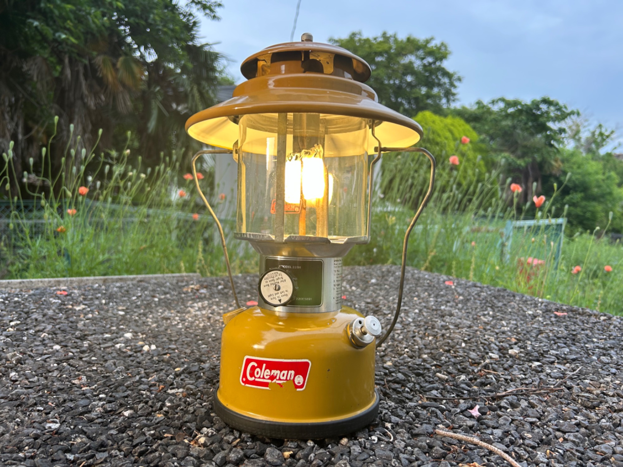 滅多にお目にかかれない？！】柏店 Coleman 228H