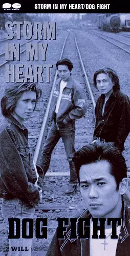 STORM IN MY HEART/DOG FIGHT/ドッグファイト｜平成J-POP｜ディスク
