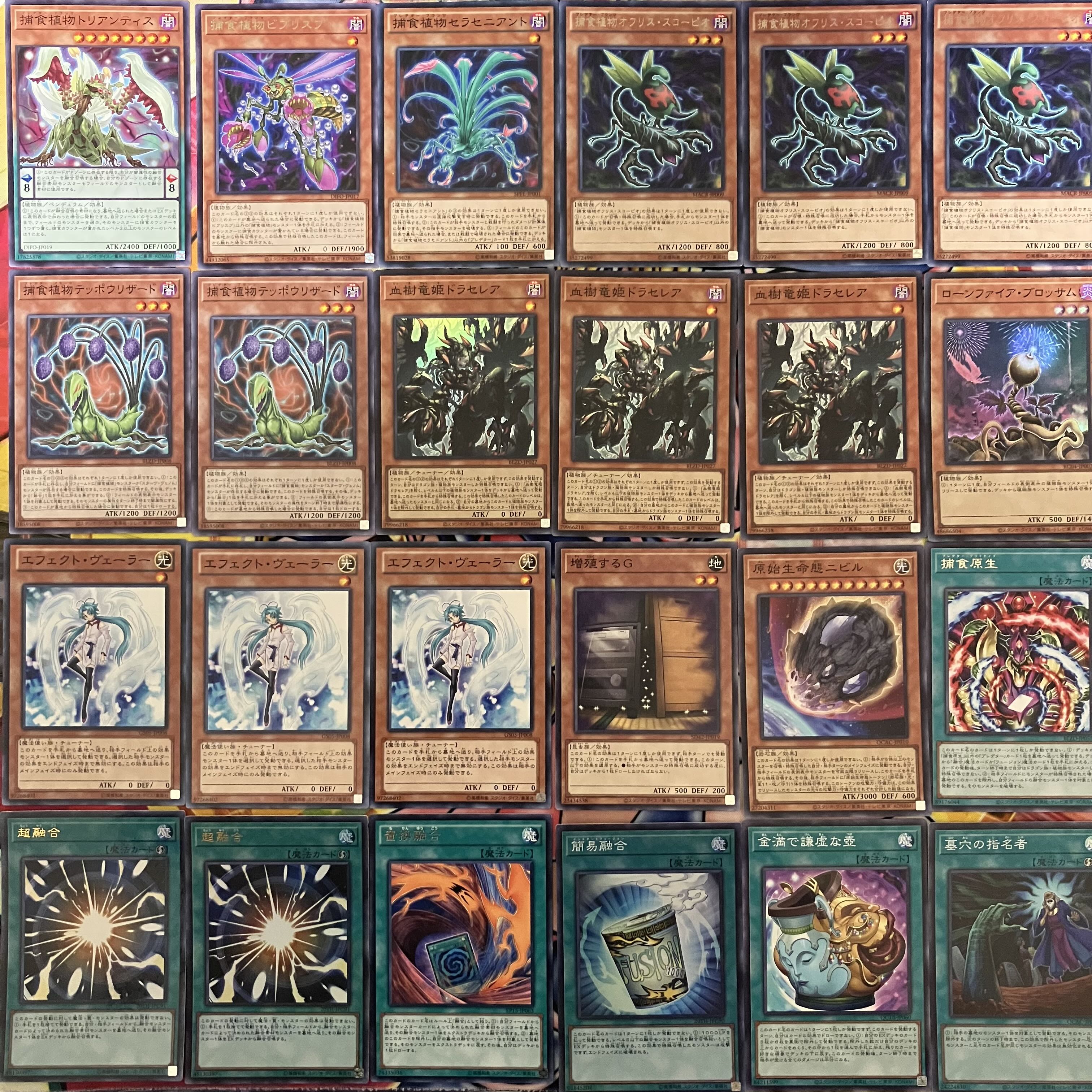 No.1442 捕食植物デッキ プレデタープランツデッキ 遊戯王 Predaplant
