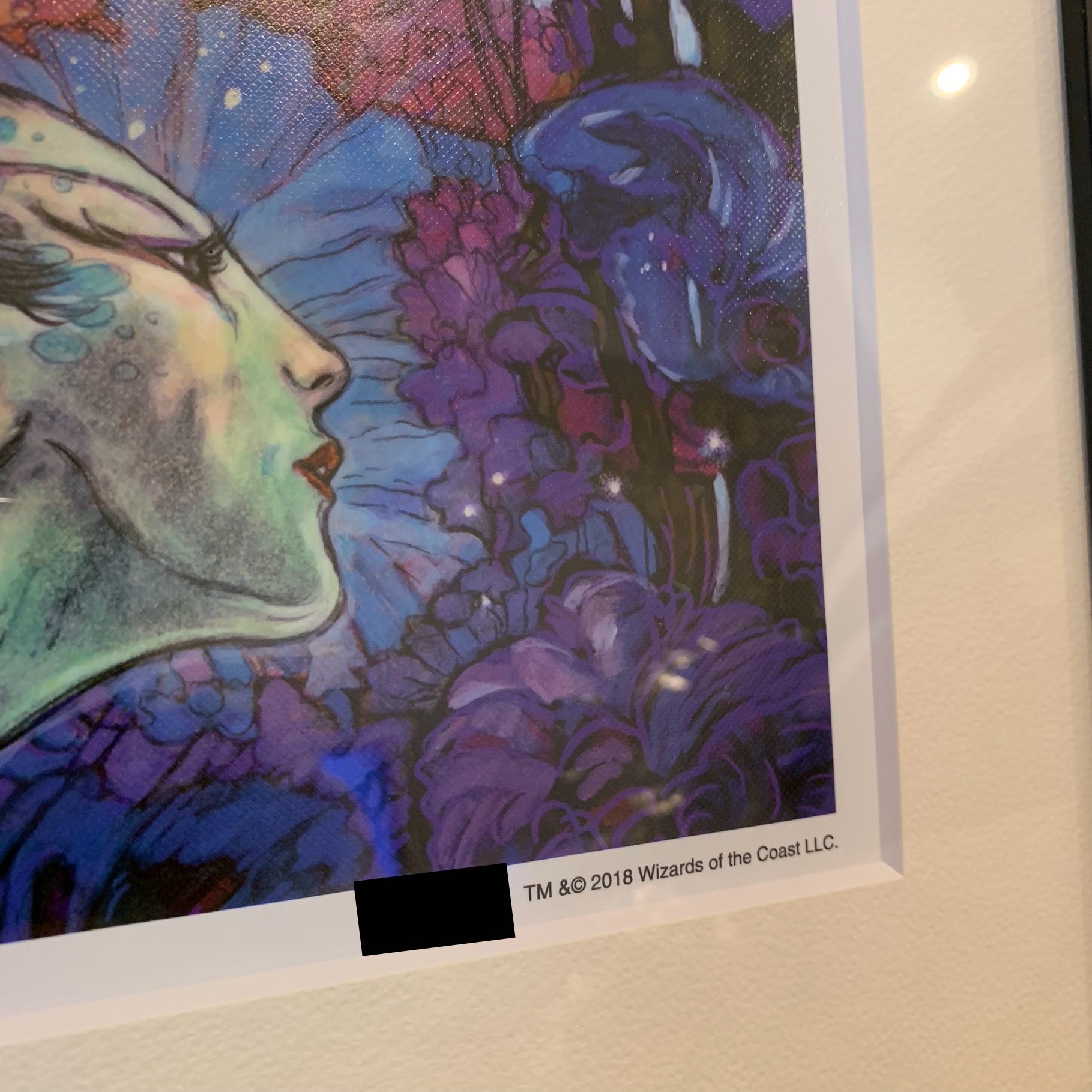 100枚限定 苦花 複製原画 Rebecca Guay 25周年 マジック展 30枚の通販