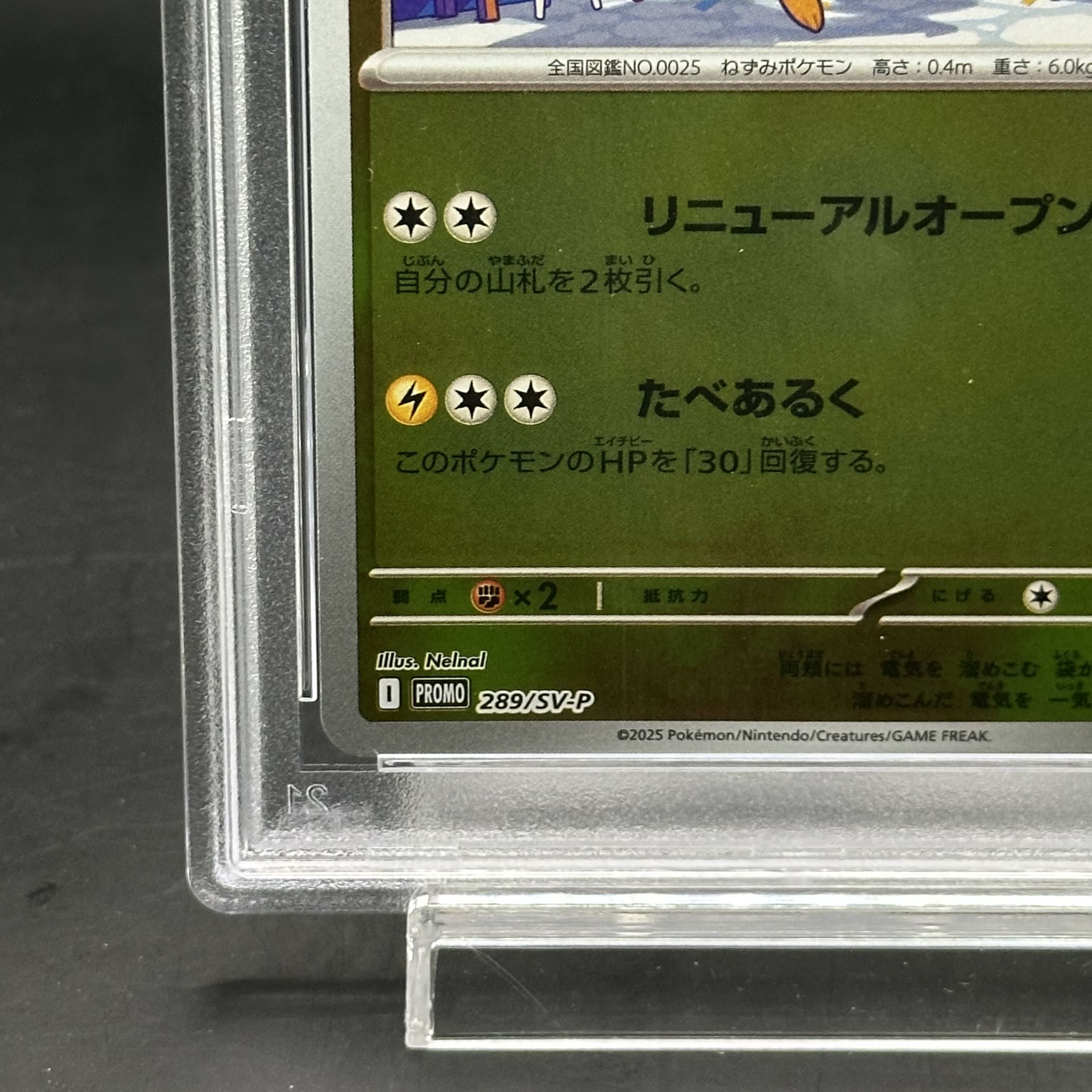 PSA10] Pikachu PROMO 289/SV-P in Fukuoka 1枚 (Used) （1526952851