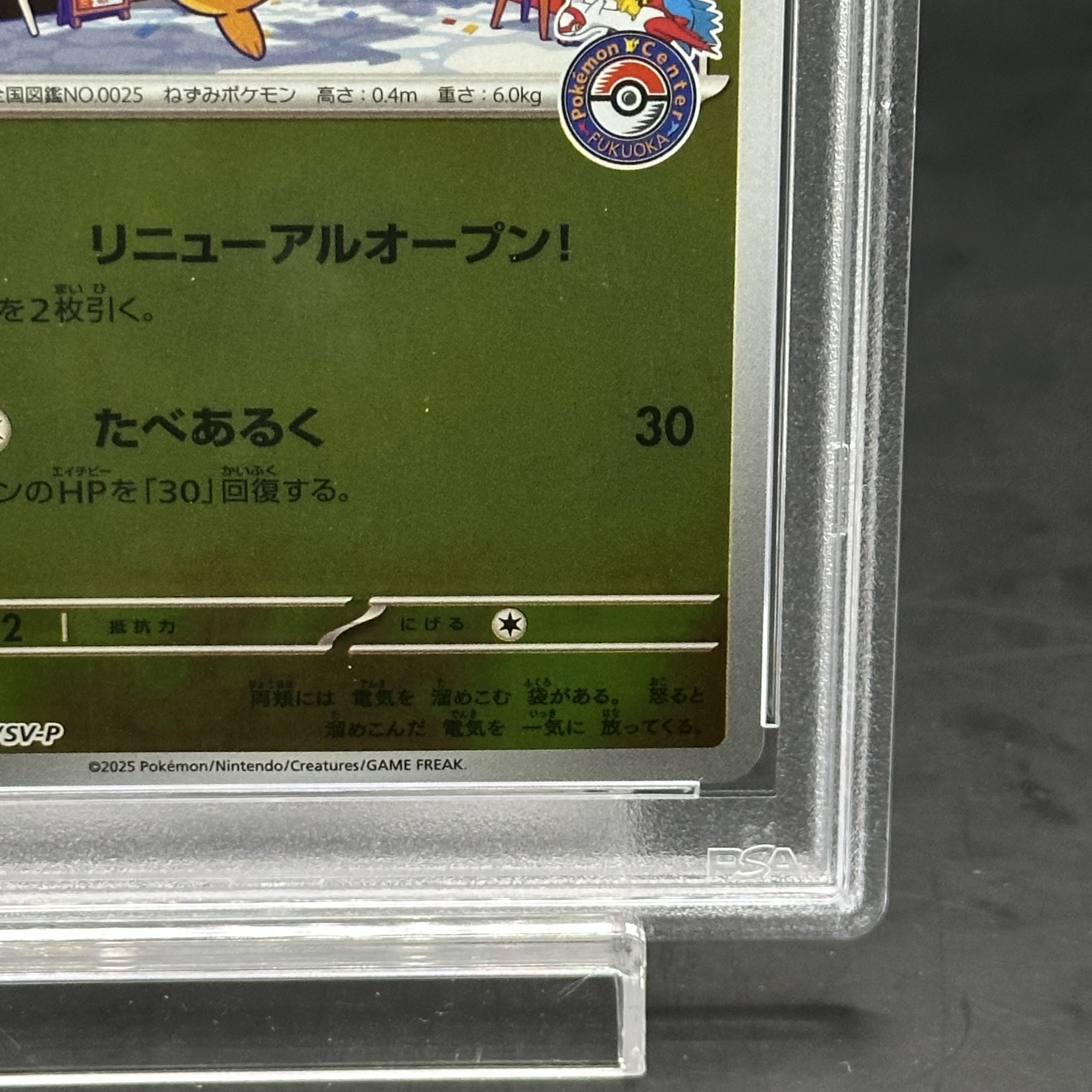 PSA10] Pikachu PROMO 289/SV-P in Fukuoka 1枚 (Used) （1526952851