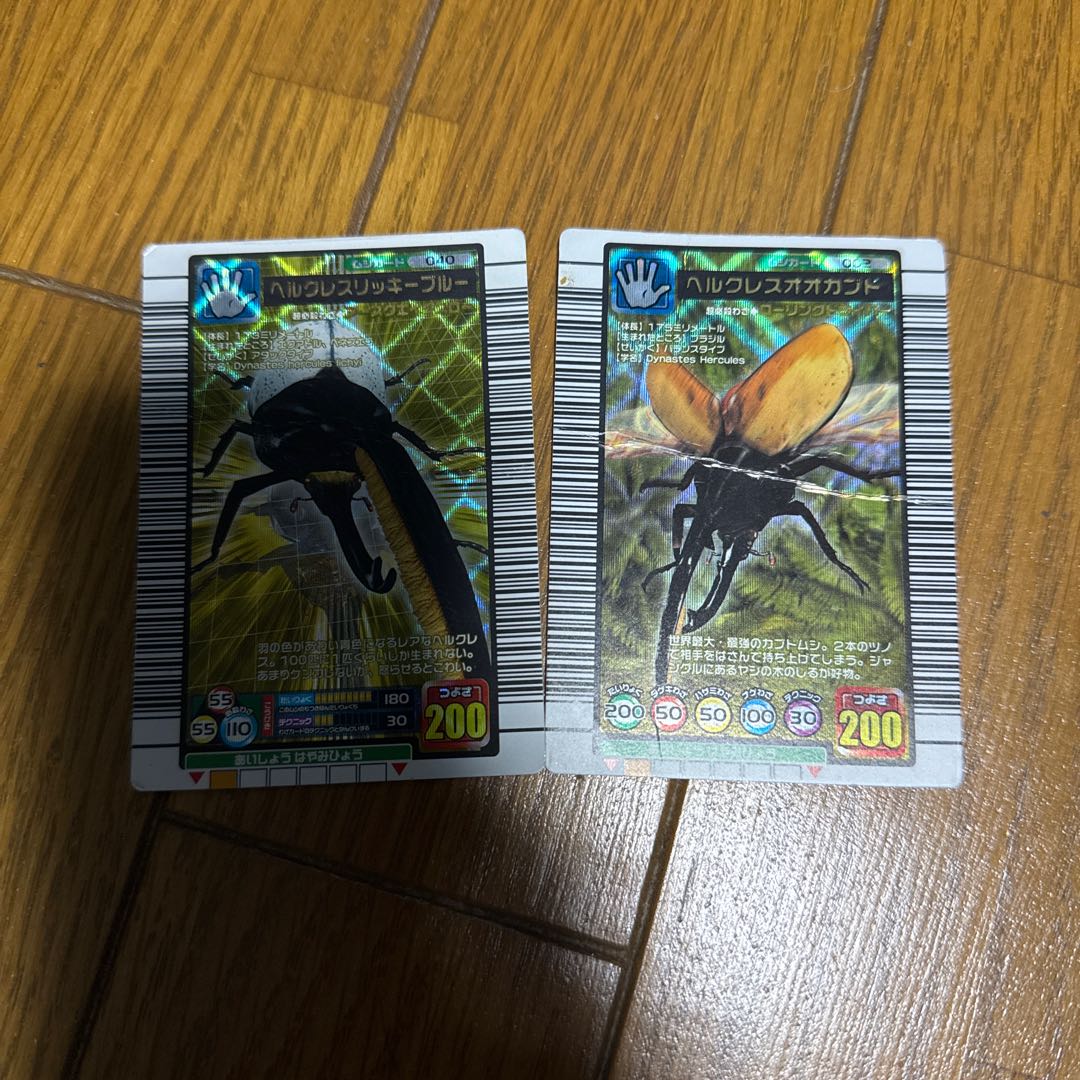 ヘラクレスオオカブト・ヘラクレスリッキーブルー 1枚 (Used