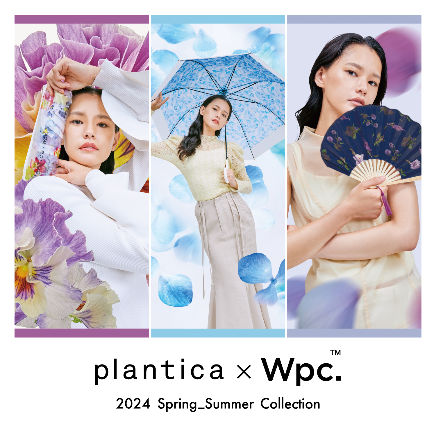 plantica×Wpc.コラボ第6弾！新作ビニール傘&日傘&扇子発売 | 株式会社