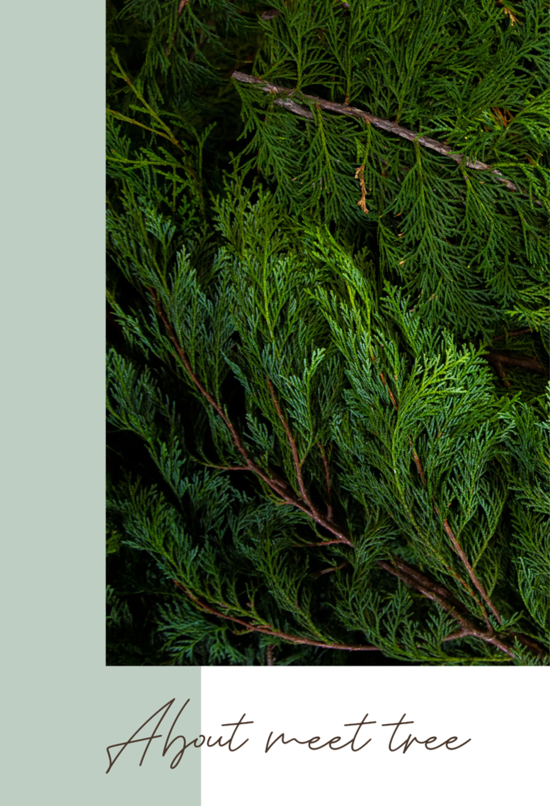 meetree | Granstra | 展示会サービス