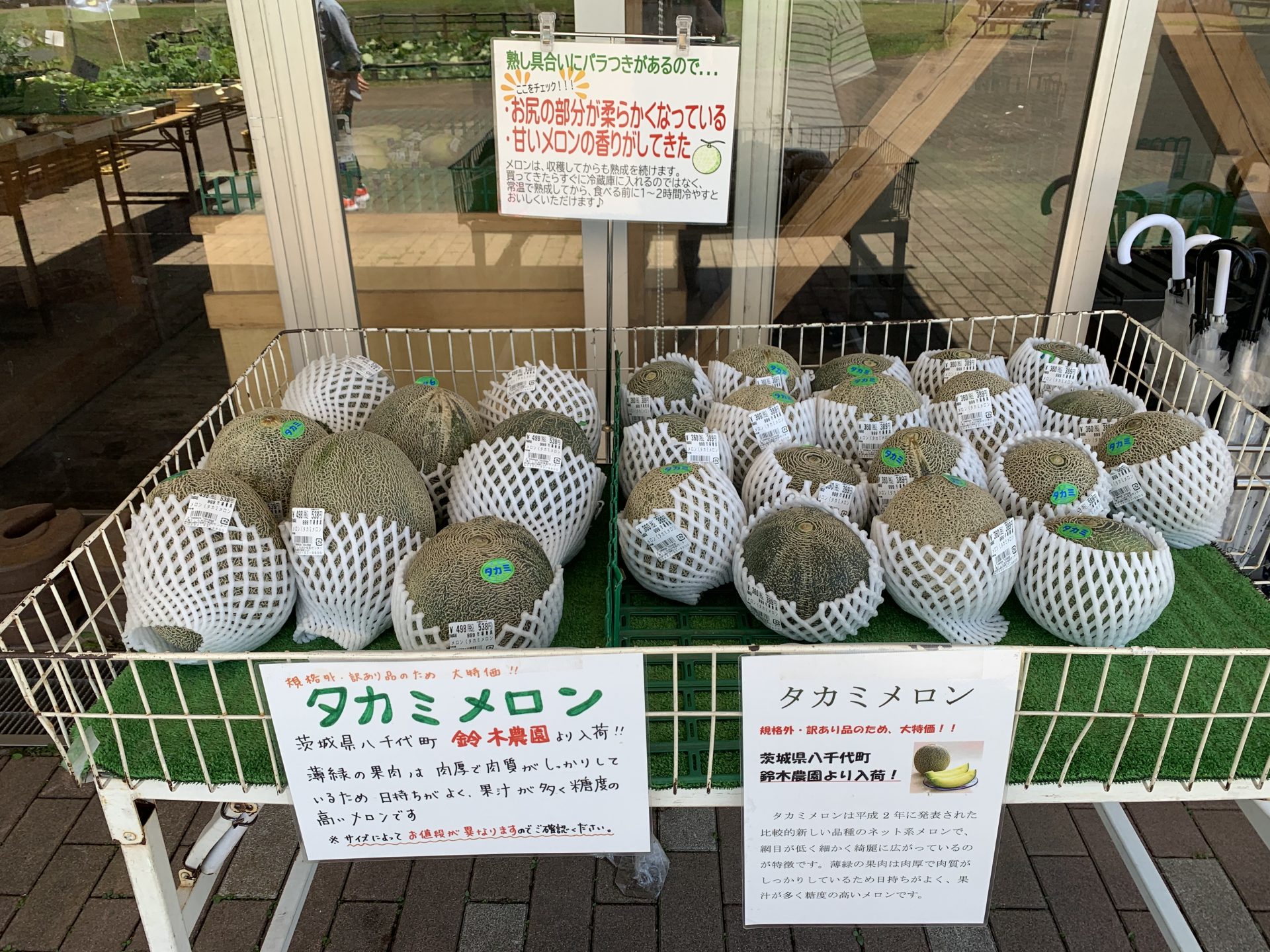 タカミメロン販売開始♪ – しらおか味彩センター