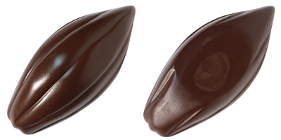 カカオバリー / チョコレートモールド「カボス（19.5×9cm）」表面